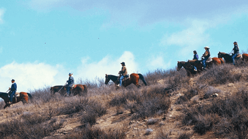 A group travels along a trail near Diamond Valley Lake on horseback